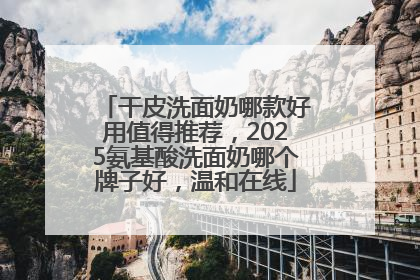 干皮洗面奶哪款好用值得推荐，2025氨基酸洗面奶哪个牌子好，温和在线