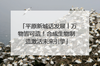 平原新城话发展丨万物皆可造！合成生物制造激活未来引擎