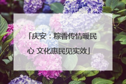 庆安：粽香传情暖民心 文化惠民见实效