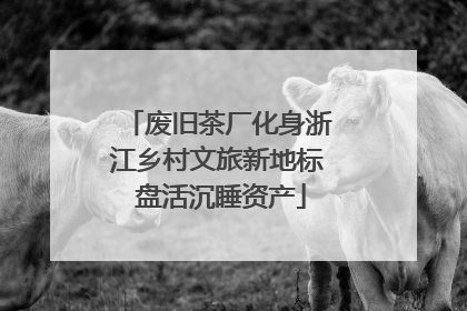 废旧茶厂化身浙江乡村文旅新地标 盘活沉睡资产