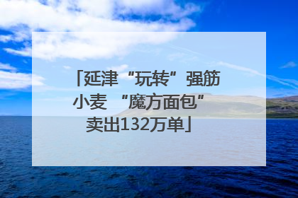 延津“玩转”强筋小麦 “魔方面包”卖出132万单