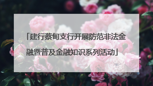 建行蔡甸支行开展防范非法金融暨普及金融知识系列活动