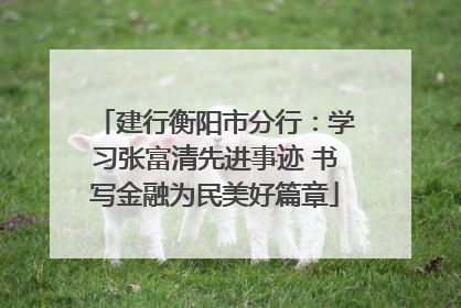 建行衡阳市分行：学习张富清先进事迹 书写金融为民美好篇章