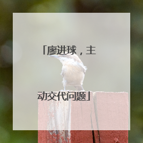 廖进球，主动交代问题