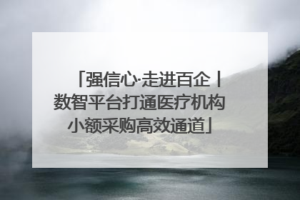 强信心·走进百企丨数智平台打通医疗机构小额采购高效通道