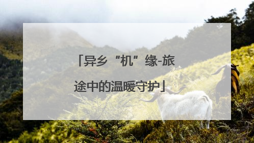 异乡“机”缘-旅途中的温暖守护