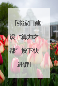 张家口建设“算力之都”按下快进键