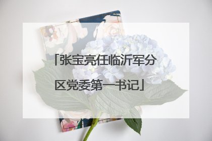 张宝亮任临沂军分区党委第一书记