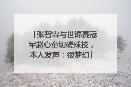 张智霖与世锦赛冠军赵心童切磋球技，本人发声：很梦幻