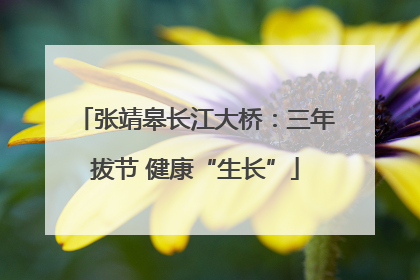 张靖皋长江大桥：三年拔节 健康“生长”