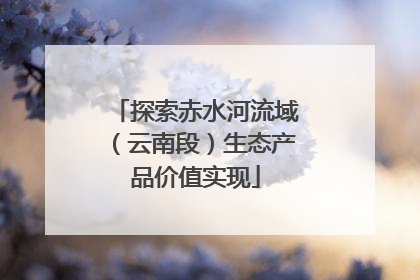 探索赤水河流域（云南段）生态产品价值实现