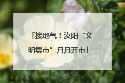接地气！汝阳“文明集市”月月开市