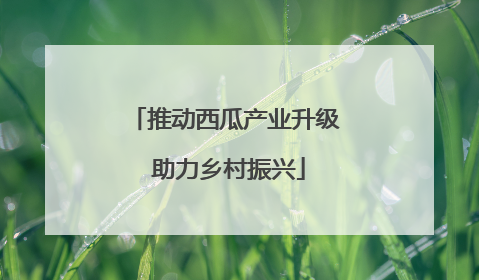 推动西瓜产业升级 助力乡村振兴