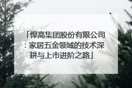 悍高集团股份有限公司：家居五金领域的技术深耕与上市进阶之路
