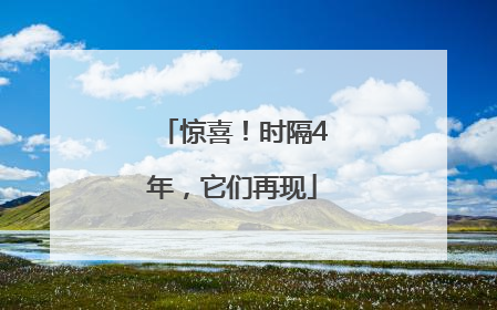 惊喜！时隔4年，它们再现