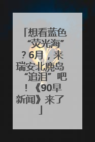 想看蓝色“荧光海”？6月，来瑞安北麂岛“追泪”吧！《90早新闻》来了