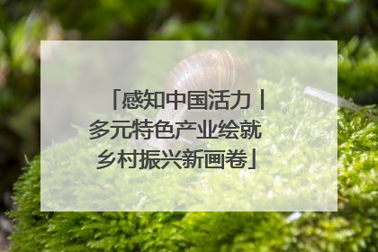 感知中国活力丨多元特色产业绘就乡村振兴新画卷