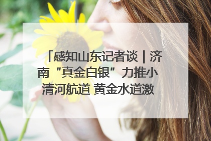 感知山东记者谈｜济南“真金白银”力推小清河航道 黄金水道激活区域经济新动能