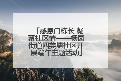 感恩门栋长 凝聚社区情——杨园街道四美塘社区开展端午主题活动