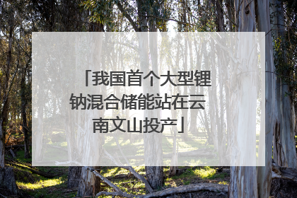 我国首个大型锂钠混合储能站在云南文山投产