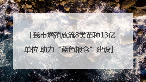 我市增殖放流8类苗种13亿单位 助力“蓝色粮仓”建设