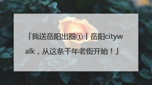 我送岳阳出圈①丨岳阳citywalk，从这条千年老街开始！