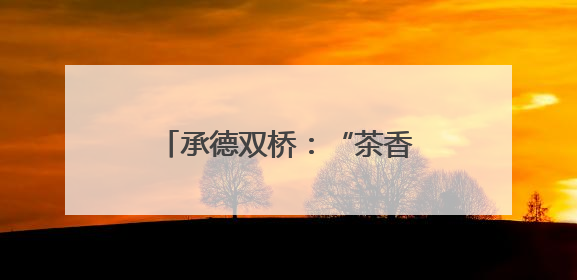 承德双桥：“茶香税语” 创新税收普法宣传新模式