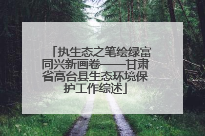 执生态之笔绘绿富同兴新画卷——甘肃省高台县生态环境保护工作综述
