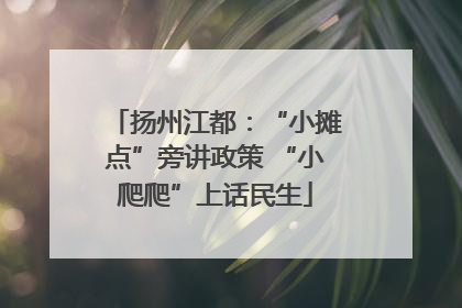 扬州江都：“小摊点”旁讲政策 “小爬爬”上话民生