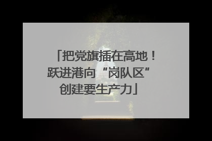 把党旗插在高地！跃进港向“岗队区”创建要生产力