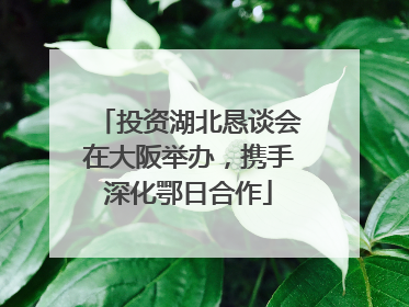 投资湖北恳谈会在大阪举办，携手深化鄂日合作