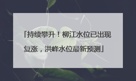 持续攀升！柳江水位已出现复涨，洪峰水位最新预测