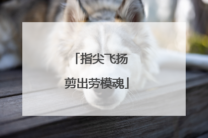 指尖飞扬 剪出劳模魂