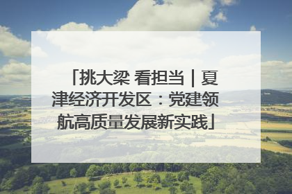 挑大梁 看担当｜夏津经济开发区：党建领航高质量发展新实践