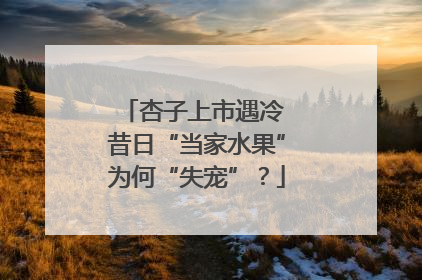 杏子上市遇冷 昔日“当家水果”为何“失宠”？