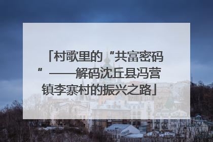 村歌里的“共富密码”——解码沈丘县冯营镇李寨村的振兴之路