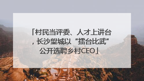 村民当评委、人才上讲台，长沙望城以“擂台比武” 公开选聘乡村CEO