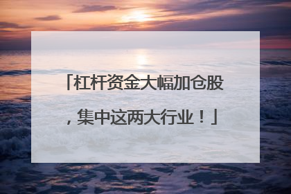 杠杆资金大幅加仓股，集中这两大行业！