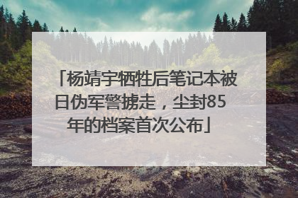杨靖宇牺牲后笔记本被日伪军警掳走，尘封85年的档案首次公布