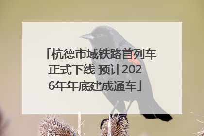 杭德市域铁路首列车正式下线 预计2026年年底建成通车