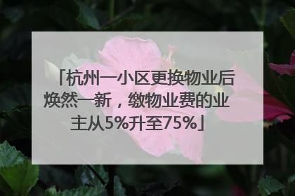 杭州一小区更换物业后焕然一新，缴物业费的业主从5%升至75%