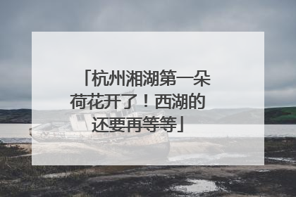 杭州湘湖第一朵荷花开了！西湖的还要再等等