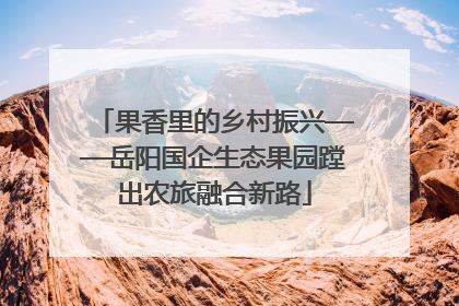 果香里的乡村振兴——岳阳国企生态果园蹚出农旅融合新路