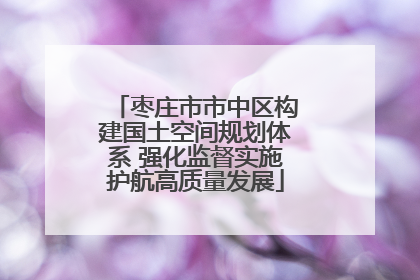 枣庄市市中区构建国土空间规划体系 强化监督实施护航高质量发展