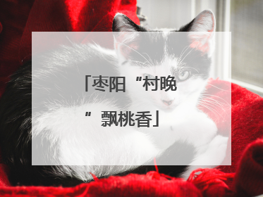 枣阳“村晚”飘桃香
