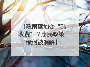 政策落地变“乱收费”？惠民政策缘何被误解
