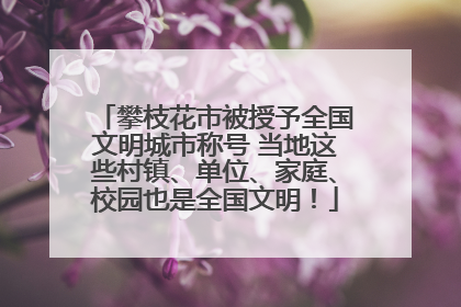 攀枝花市被授予全国文明城市称号 当地这些村镇、单位、家庭、校园也是全国文明！