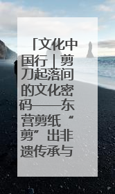 文化中国行｜剪刀起落间的文化密码——东营剪纸“剪”出非遗传承与现代生活的融合之道