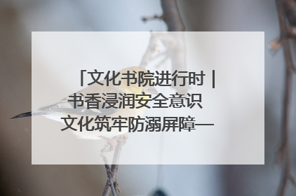 文化书院进行时｜书香浸润安全意识 文化筑牢防溺屏障——辛城社区开展防溺水主题宣传活动