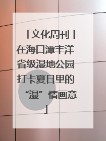 文化周刊丨在海口潭丰洋省级湿地公园打卡夏日里的“湿”情画意